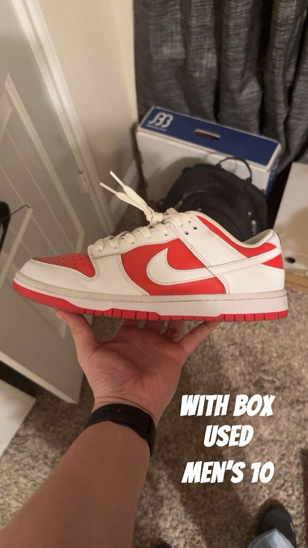 Men’s Nike dunks