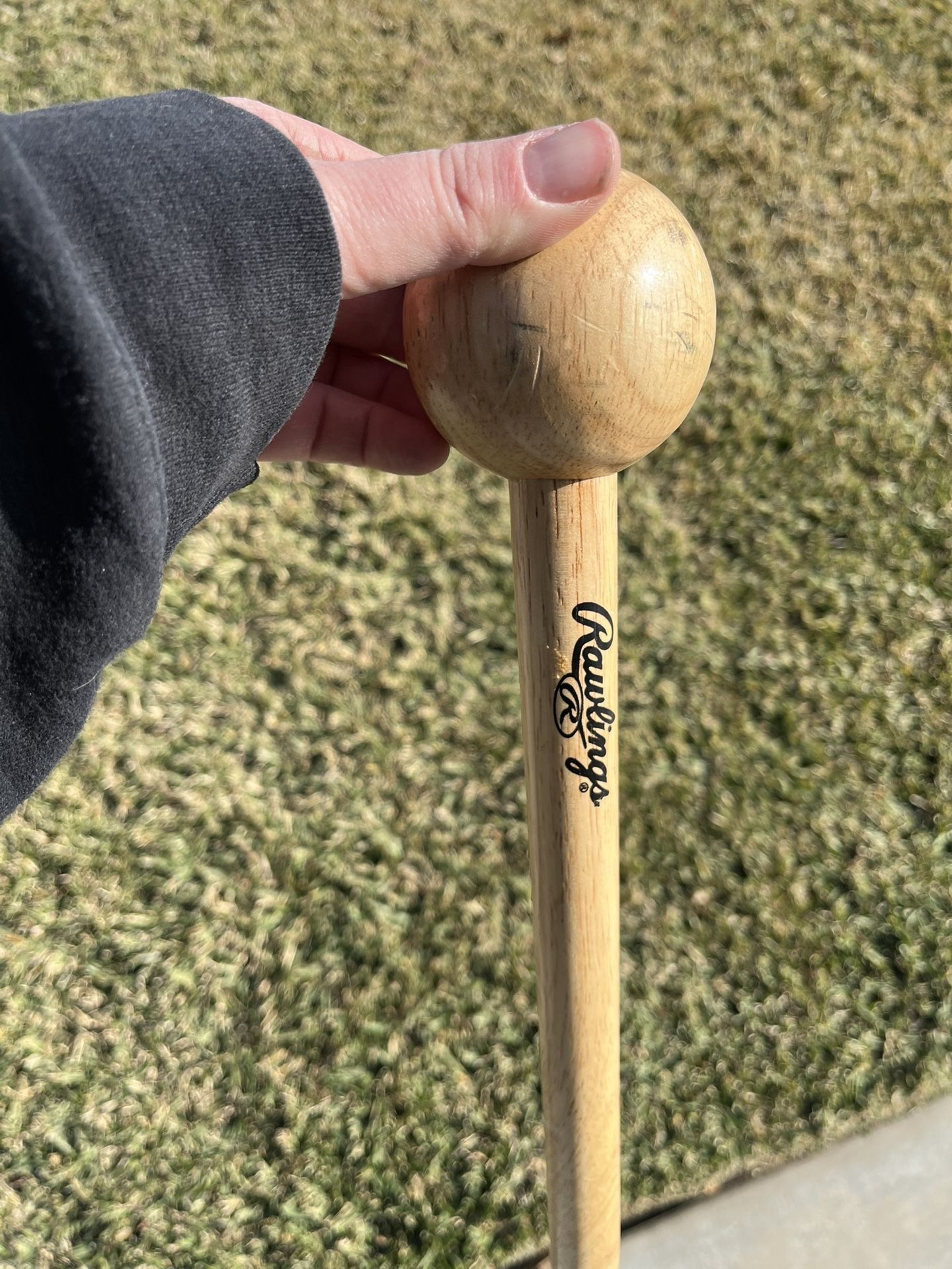 Rawlings Mitt Mallet
