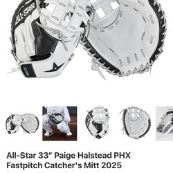 Softball catchers glove new