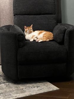 Swirl couch (I have two of them)