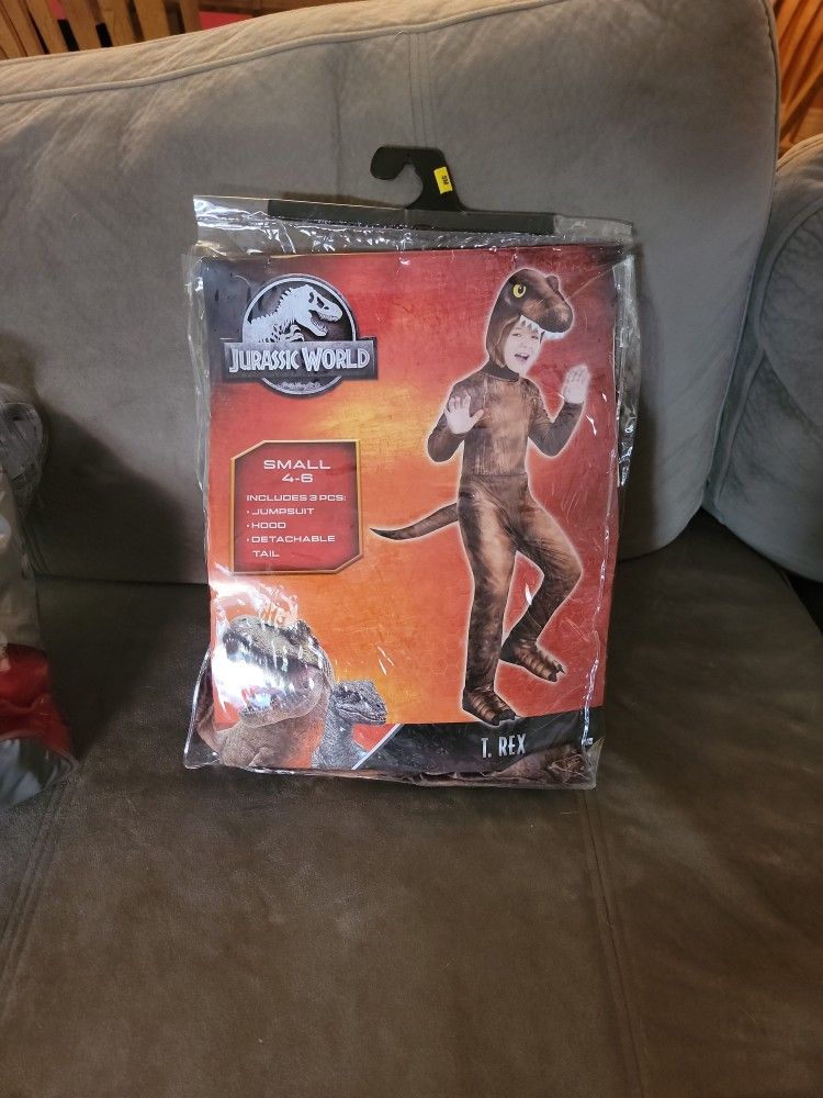 Halloween Costume