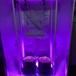 Growing Chamber With Kind LED 