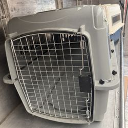Dog Or Cat Kennel 