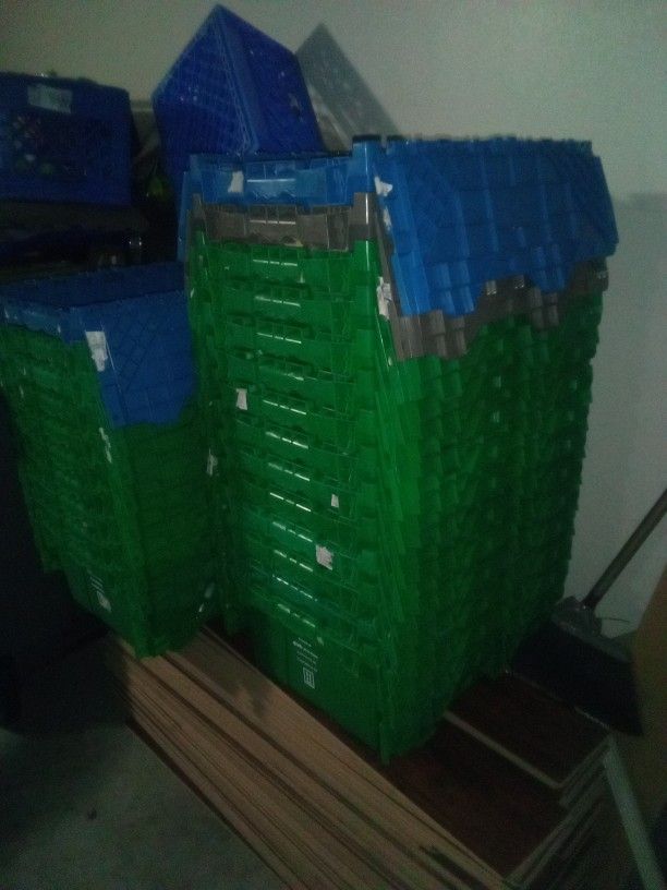 Green Bins (Crates/ Totes) @ $4 Each.