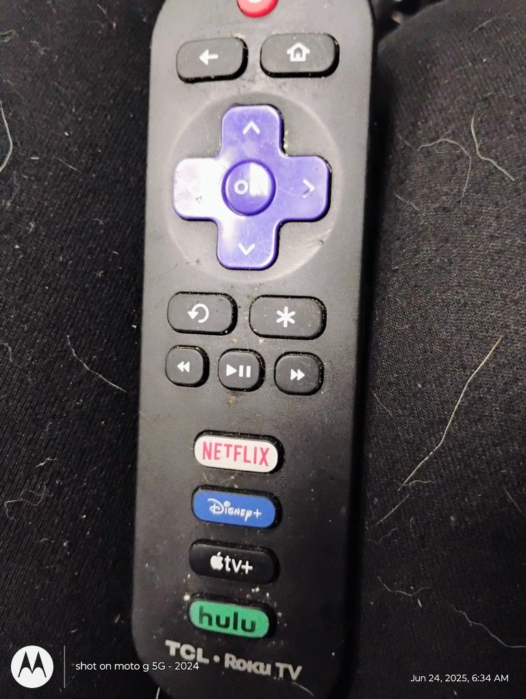 Roku Remote