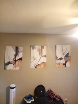 Abstract Canvas Wall Art Set of 3