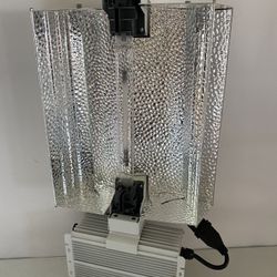 Hydroponics Grow Light Lamp