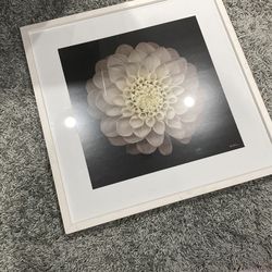 Art Print Neil Seth Levine Dahlia