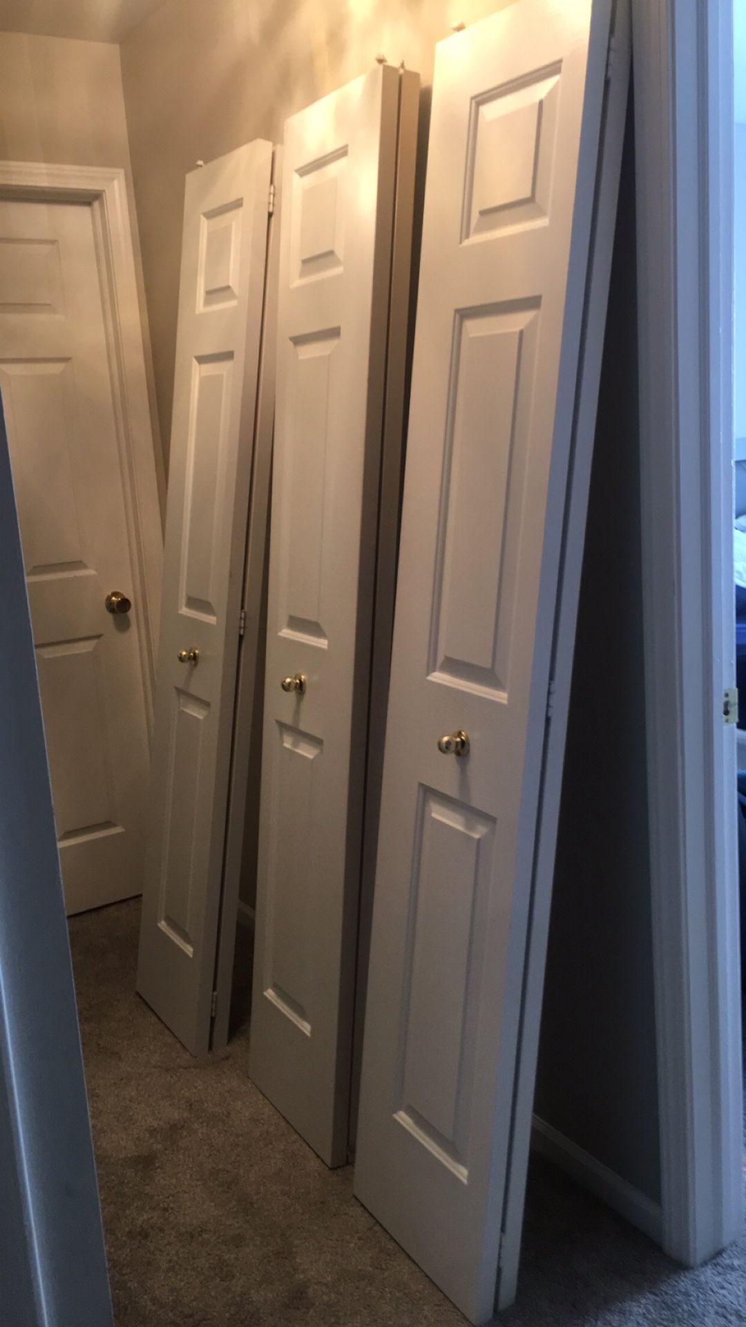 2 closet doors