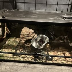 Breaded Dragon Cage 