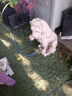 🦁 Good Condition