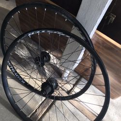 Bike Rims