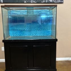 Reptile tank with pedestal