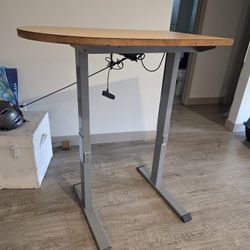 Standing / Sitting Desk