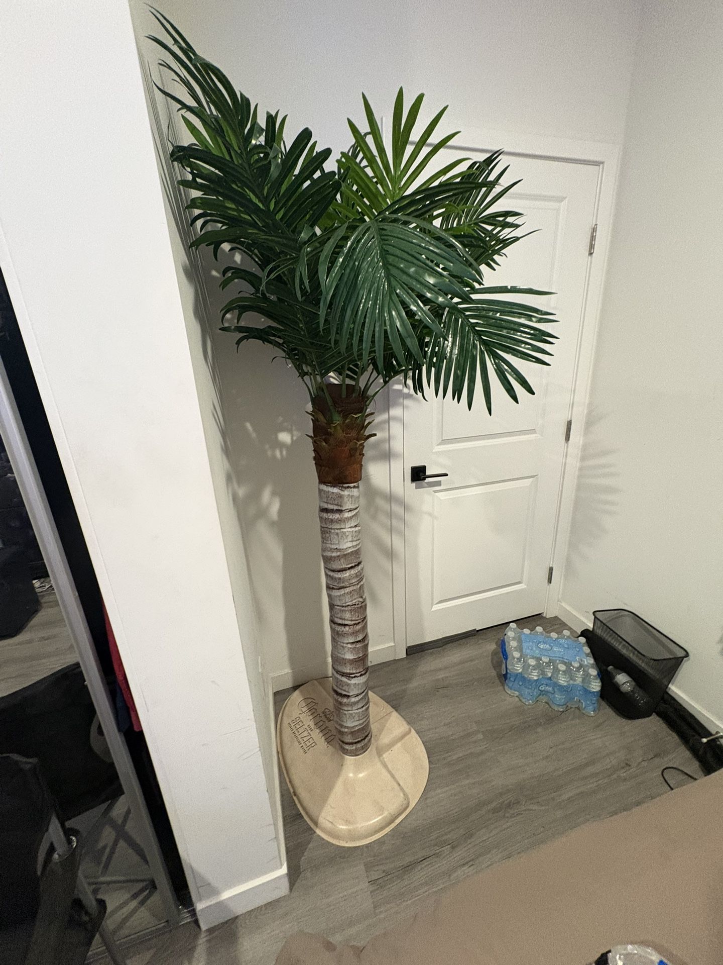 Corona Palm Tree