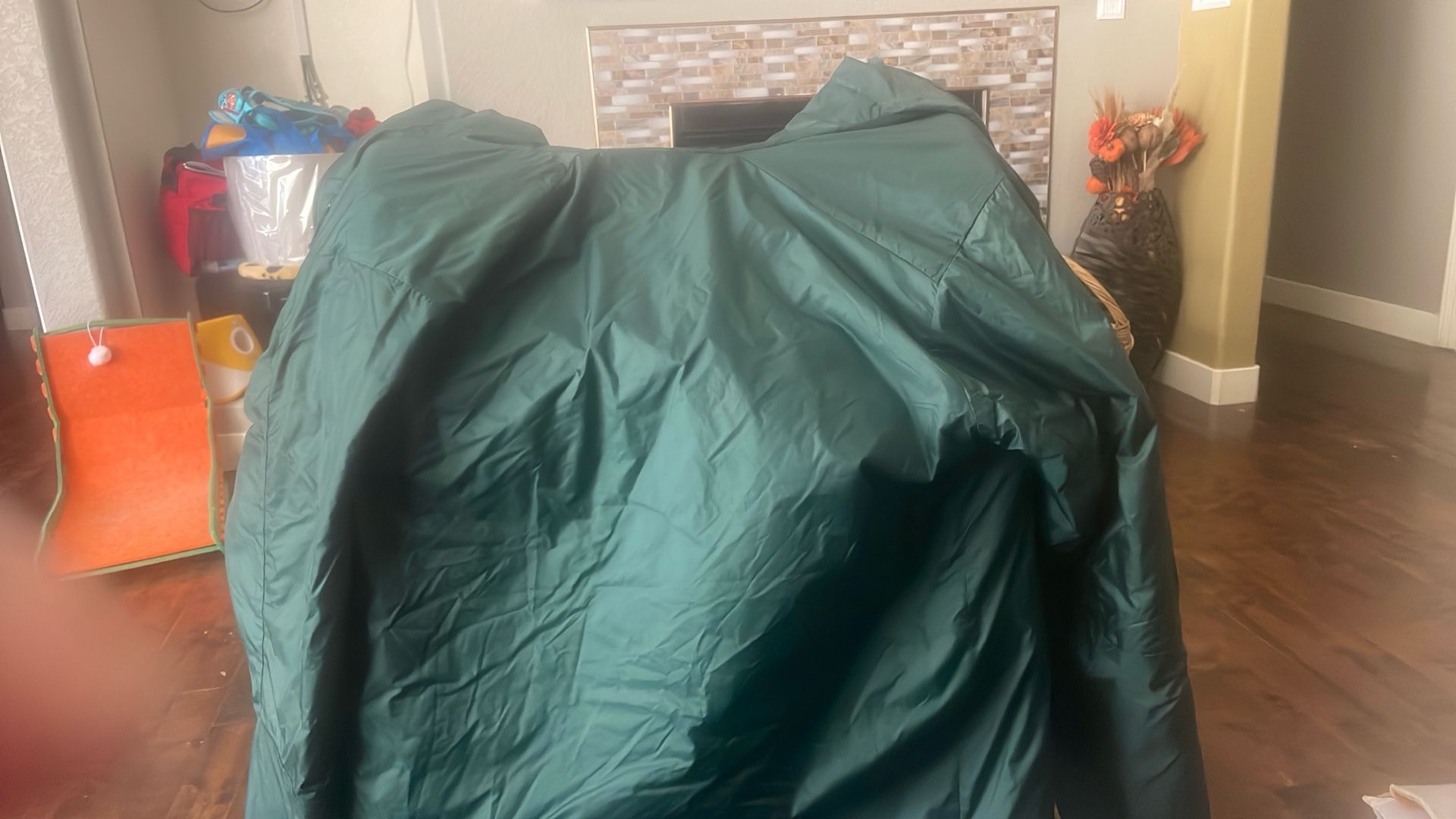 Dark Green Jacket. REI