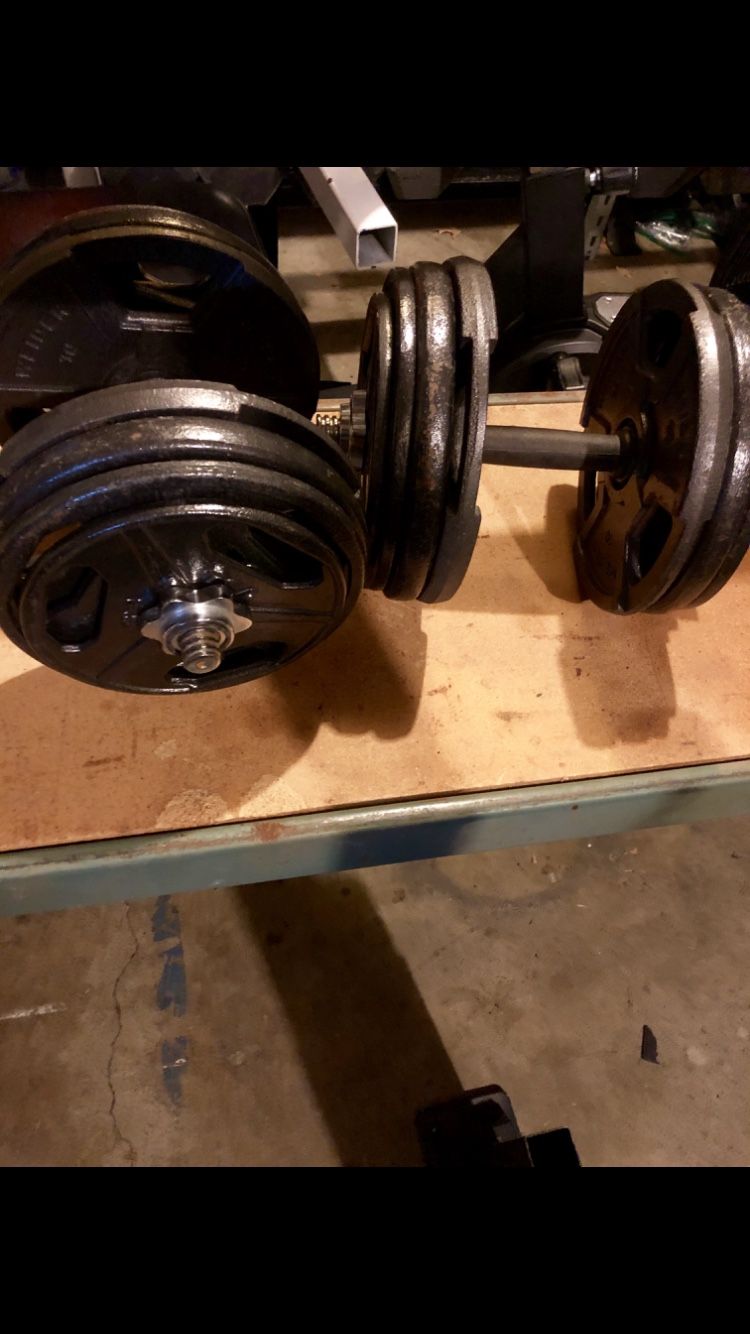 Dumbbells adjustable, 5-60lbs in 5lb increments with weight plates