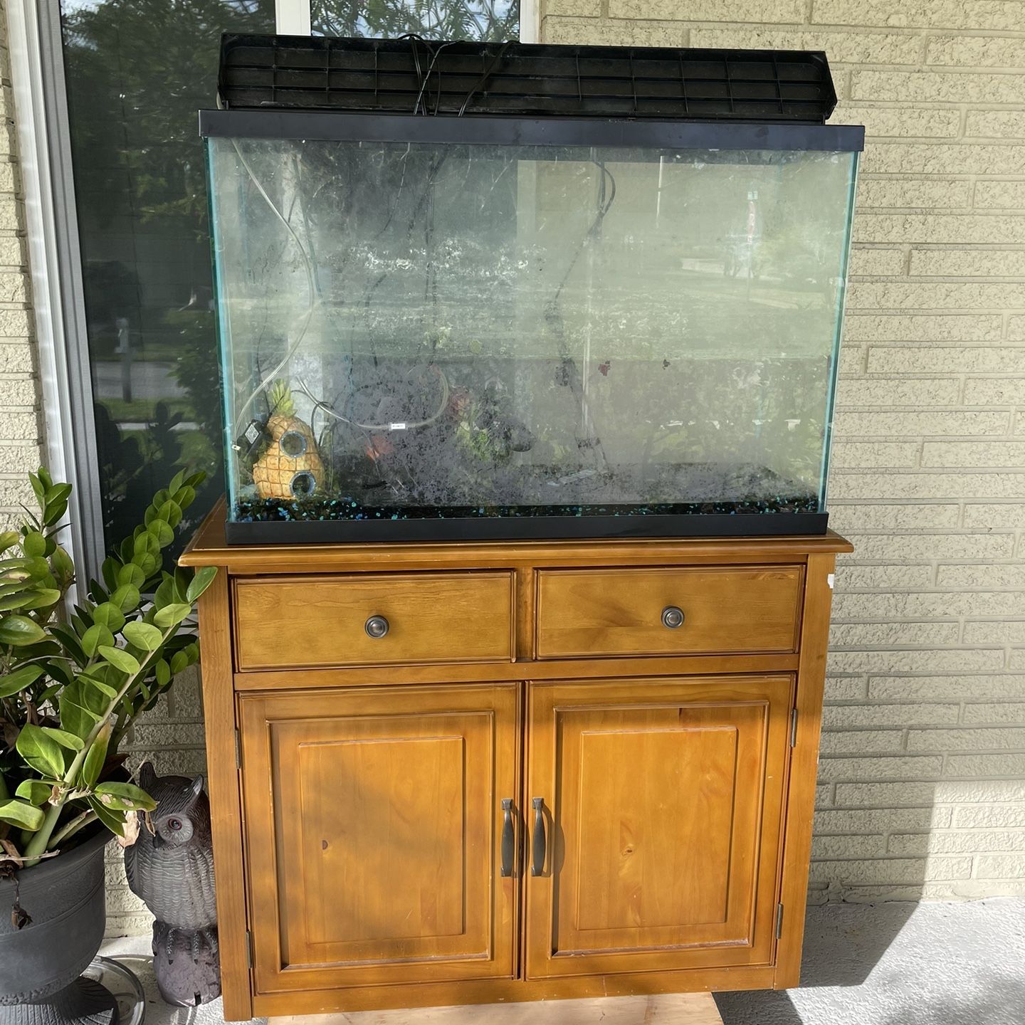Large Fish Tank aquarium, With Stand A Lot Of Accessories Everything For $200 for Sale in Pompano Beach, FL - OfferUp Large Fish Tank aquarium, With Stand A Lot Of Accessories Everything For $200 for Sale in Pompano Beach, FL - OfferUp