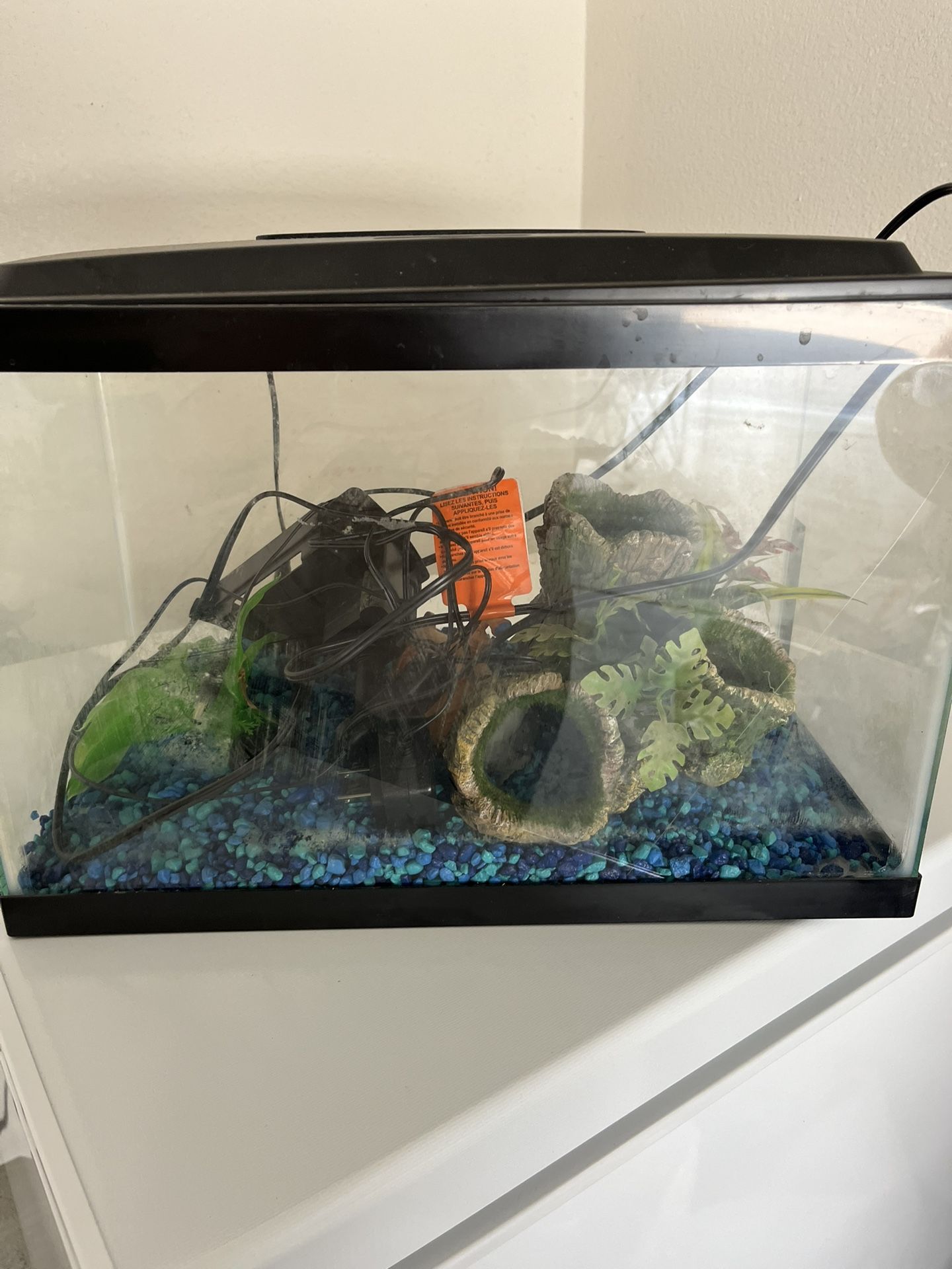 2.5 Gallon fish tank