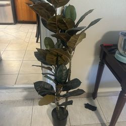 Fake Plant