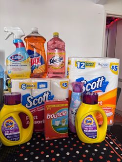 Household Cleaning Supply Bundle(32$$)