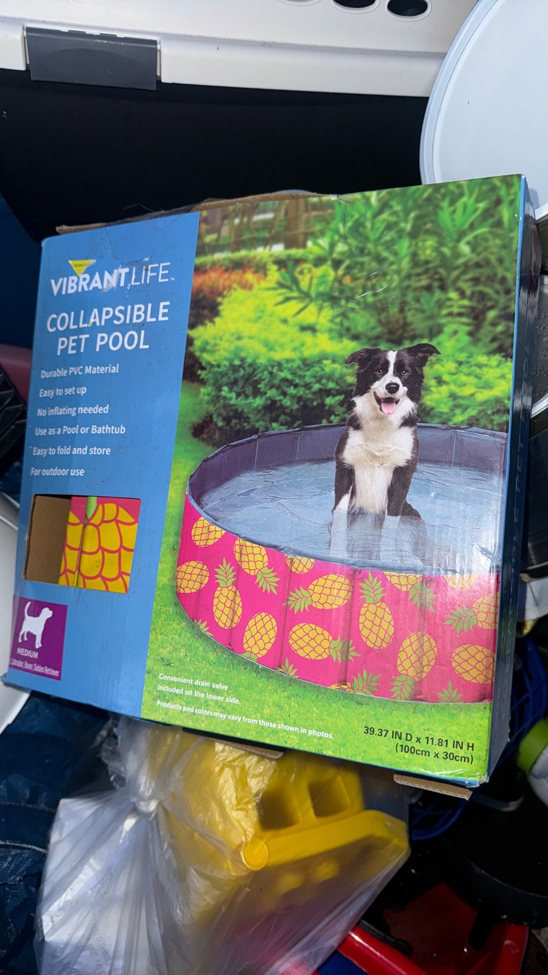 Collapsible Pet Pool