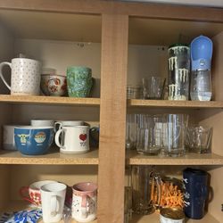 Plates N Cups 