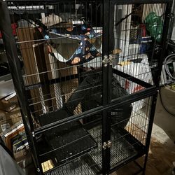 Free Ferret Cage 