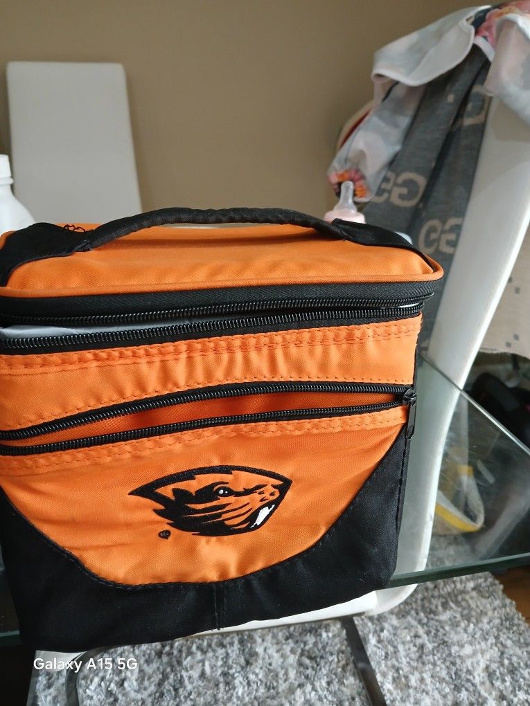 Luch Box Bag