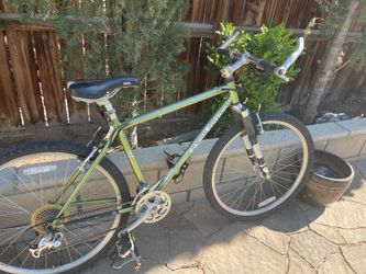 Gary fisher mtn bike
