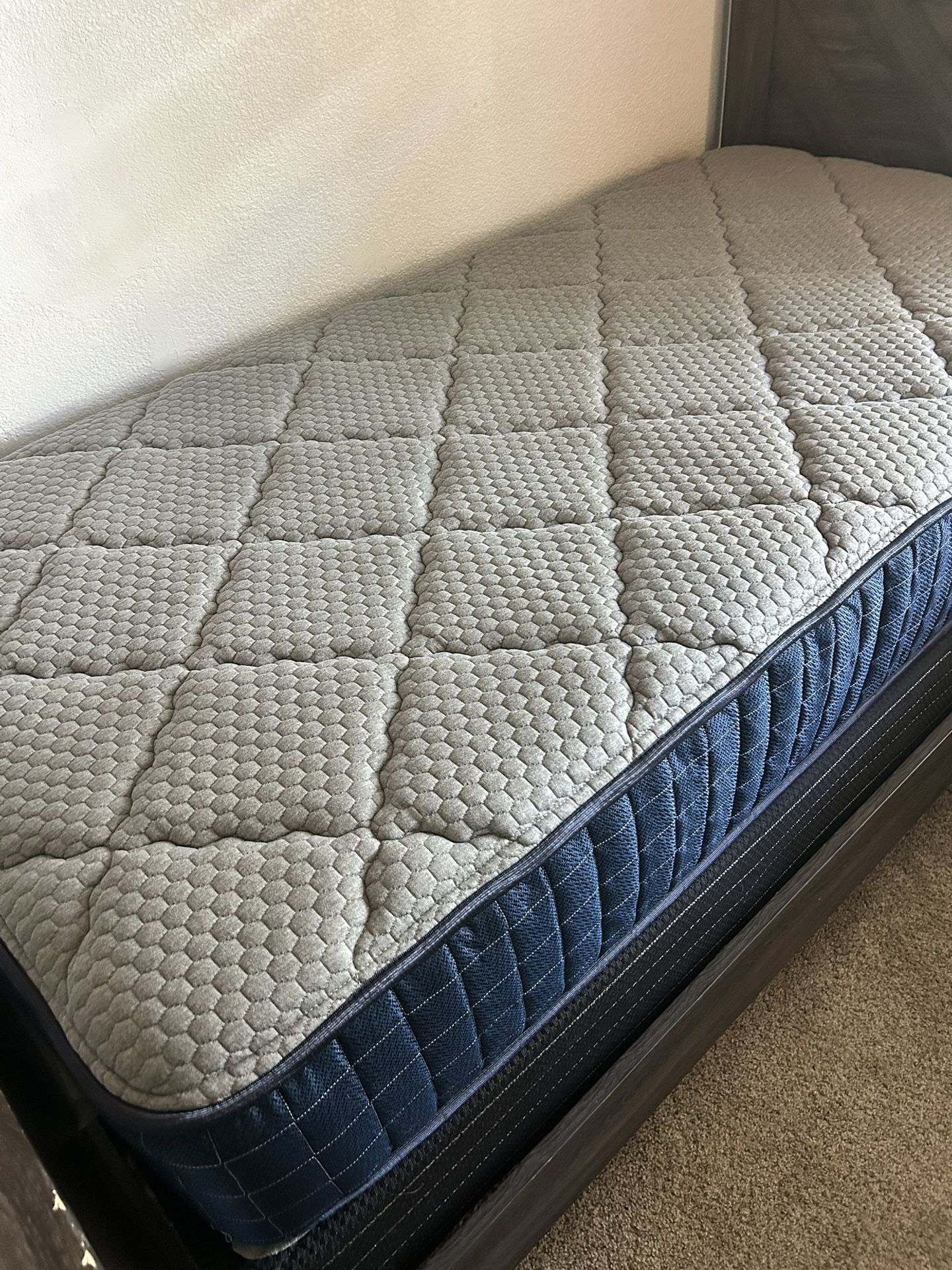 Twin Mattress And Box Spring