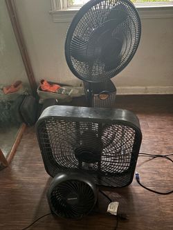 Fans