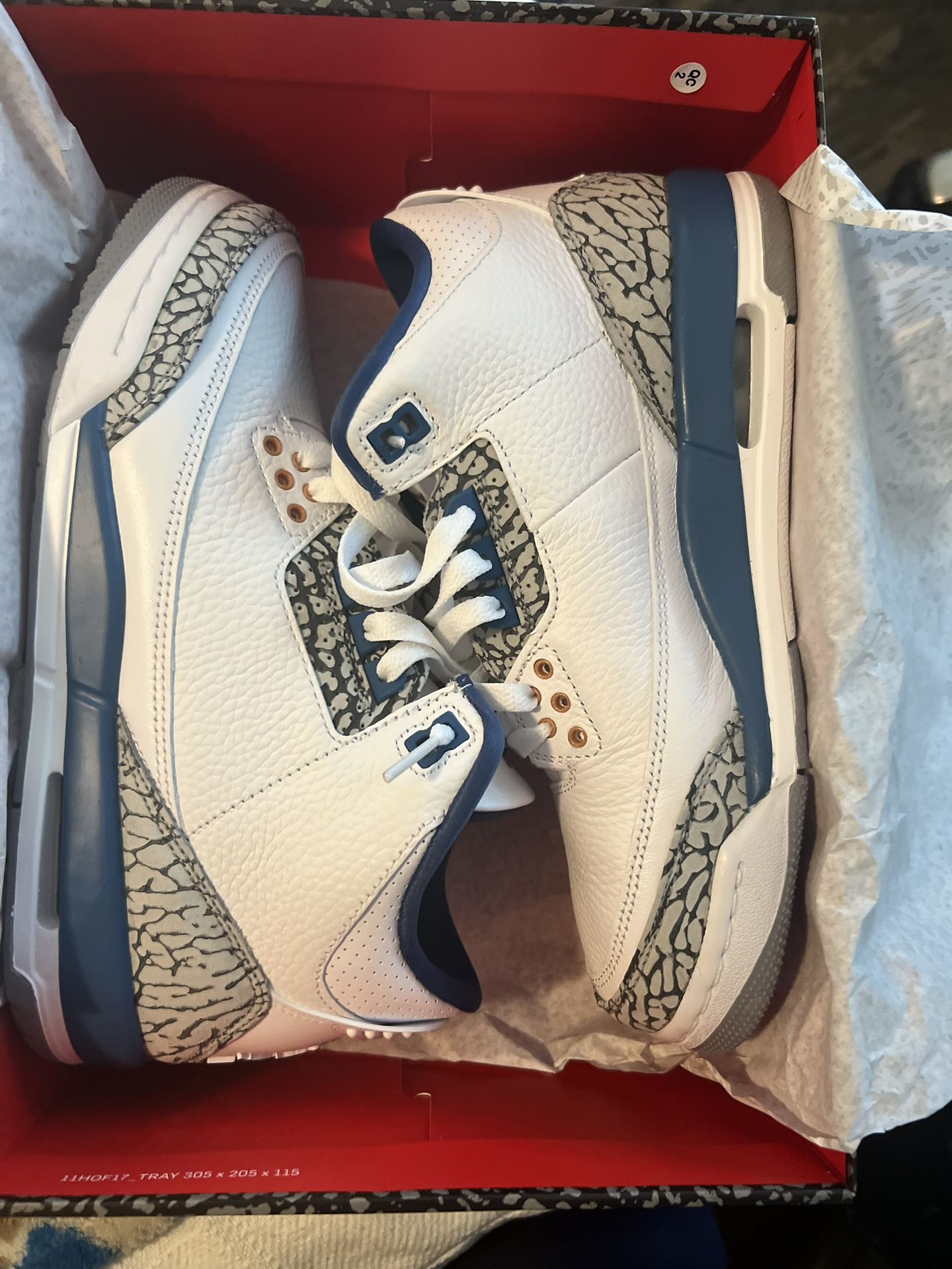Retro Jordan 3s