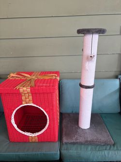 Cat items