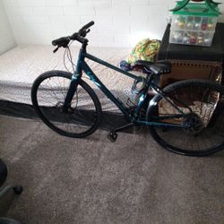 27 Inch Giant Alight