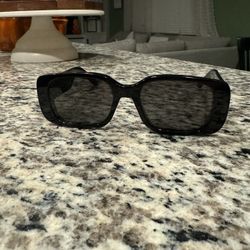 Dior Wildior S2U SunGlasses