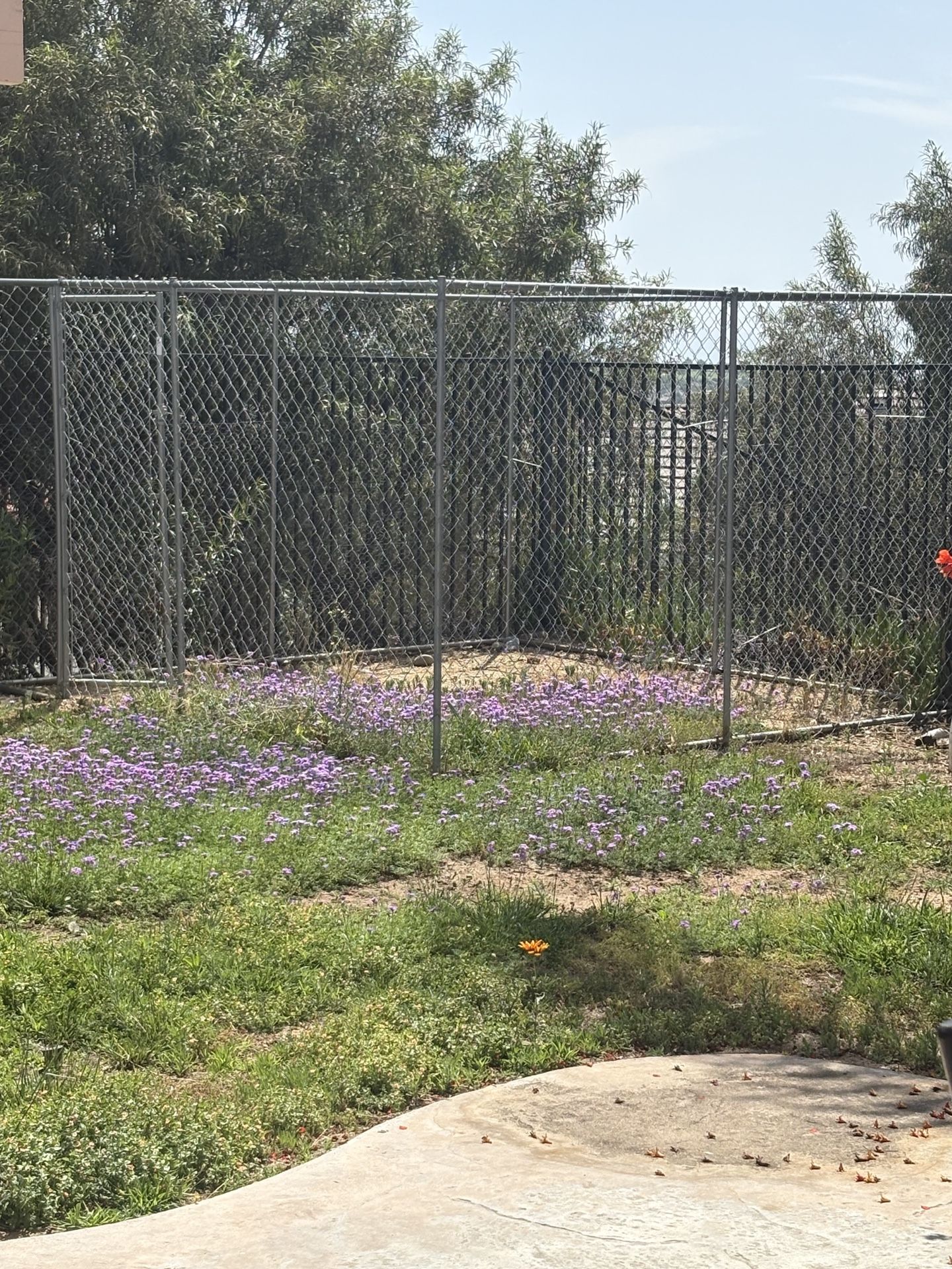 Dog Kennel / Cage For Anima