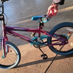 Girls Bicycle 