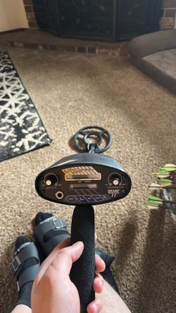 Sharp shooter metal detector