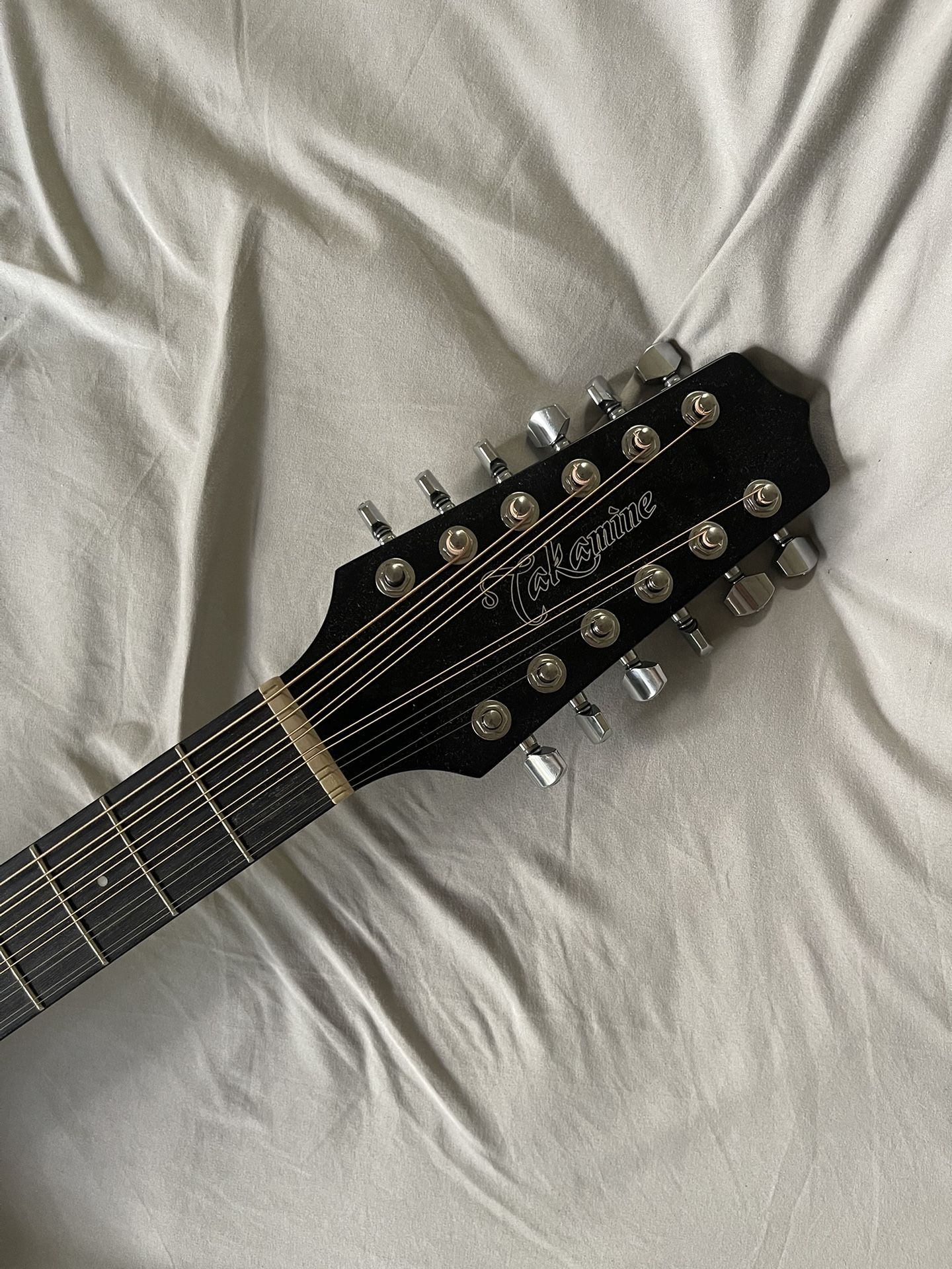 Takamine 12 string