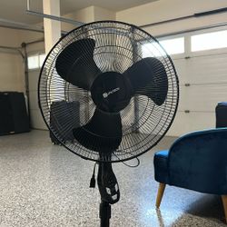 Standing Fan