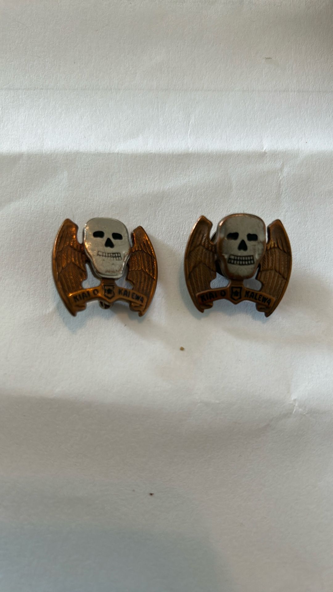 WW2 Era US Army 5th Bomb Group Distinctive Unit Insignia Pin-Meyer Pinback