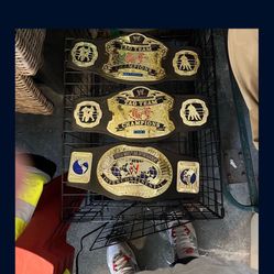 Kids WWE Titles John Cena