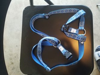 Dog harness and leash