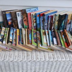 Kids Chapter Books Collection: Older/ Upper Elementary/ Junior High Reading Level Mix - Some Classics, Fantasy, Mysteries, Etc. 