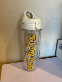 Snoopy Charlie Brown Insulated Water Bottle