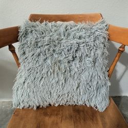 Throw Pillow (18" x 18")