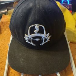 Official Jurzeecat apparel baseball cap good shape.