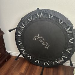 Mini Trampoline 