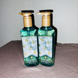 Coconut Mint Drop Bath And Body Works Soap
